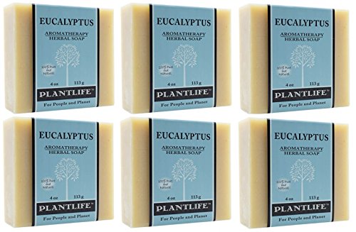Plantlife Okaliptüs 6'lı paket Kalıp Sabun-Cildiniz için Nemlendirici ve Yatıştırıcı Sabun-Bitki Bazlı Malzemeler Kullanılarak