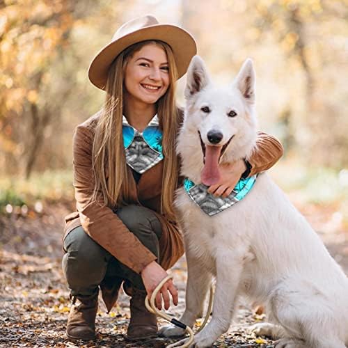 2 Paket Köpek Bandana Komik Pug Köpek Gözlük ile Yaz Baskı Pet Eşarp Ayarlanabilir Üçgen Önlükler Fular Köpek Aksesuarları