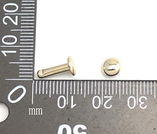 Wuuycoky Simli Çift Kap Mantar Perçin metal Çiviler Kap 8mm ve Sonrası 12mm 200 Takım Paketi