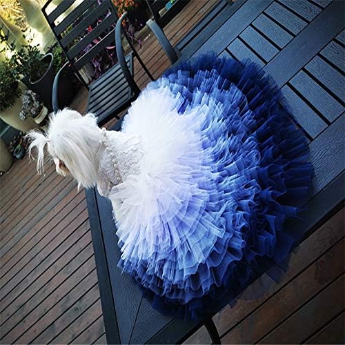 WZHSDKL El Yapımı Köpek Giysileri Köpek Prenses Elbise Dantel Engin Okyanus Mavi Degrade Tül Etek Şapel Tren Pet Firar Elbisesi