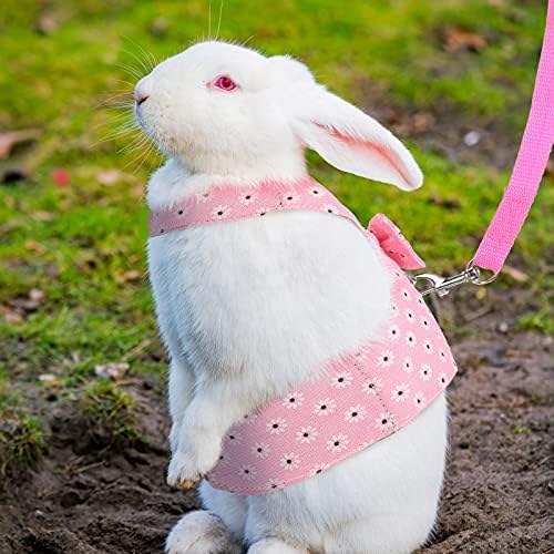 2 Takım Tavşan Koşum Tasma ile Ayarlanabilir Tavşan Kobay İlmek Koşum Seti Küçük Büyük Evcil Hayvanlar için Kostüm Yürüyüş