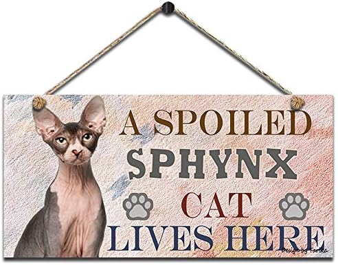Şımarık bir Sphynx Kedi Burada Yaşıyor Retro Ahşap Kamu Dekoratif Asılı İşareti Ev Kapı Çit Duvar Plakları Dekorasyon (5X10