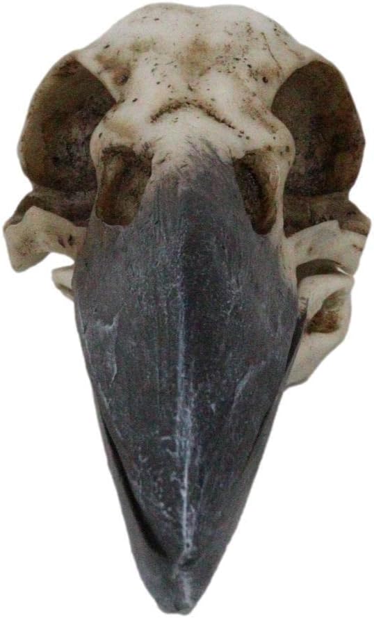 SÜPER BİNGO Ev Aksan Hediye Kötü Alametler Büyücülük Gotik Raven Crow Kafatası Mücevher Kutusu Heykelcik-Ev Dekorasyon wrt-bn-4620