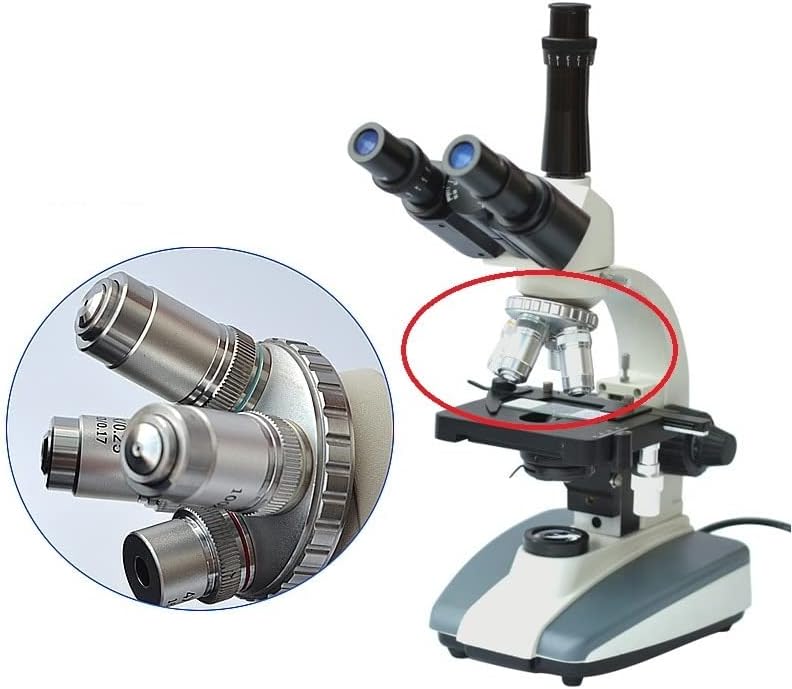 Laboratuvar Mikroskop Aksesuarları Mikroskop 195 Renksiz Objektif Lens 4X 10X 20X 40X 60X 100X Biyolojik Mikroskop / 160